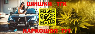 прущие крисы Сланцы