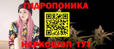 твердый Славгород