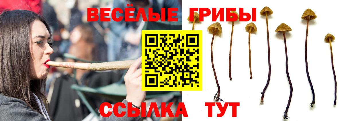 Псилоцибиновые грибы Magic Shrooms  Псилоцибиновые грибы мухоморы  Вход с VPN  Можга 