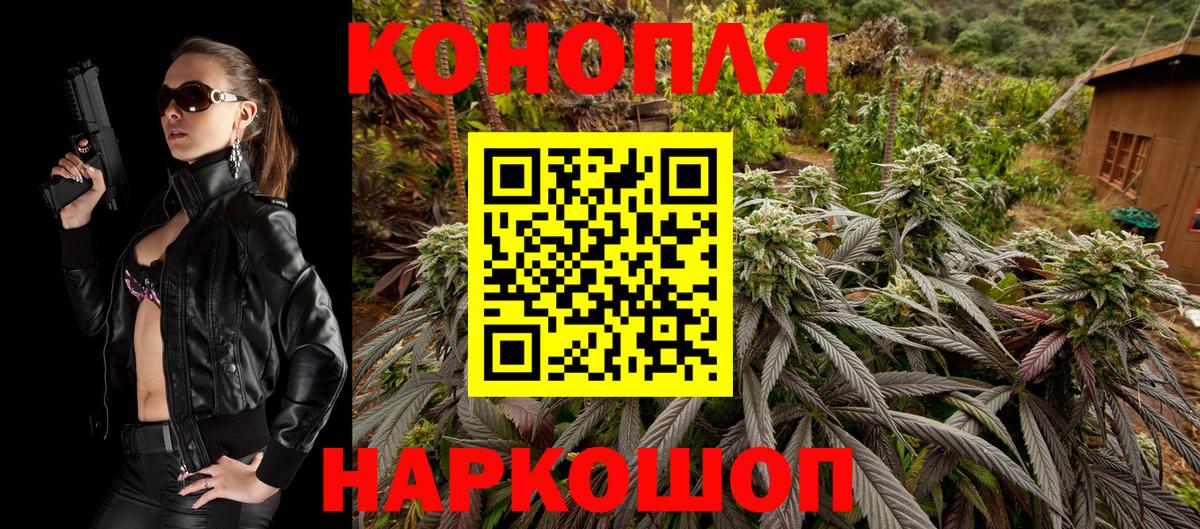 Можга  Бошки Шишки тримм  Вход с VPN  Канабис сатива  Бошки Шишки AK-47 